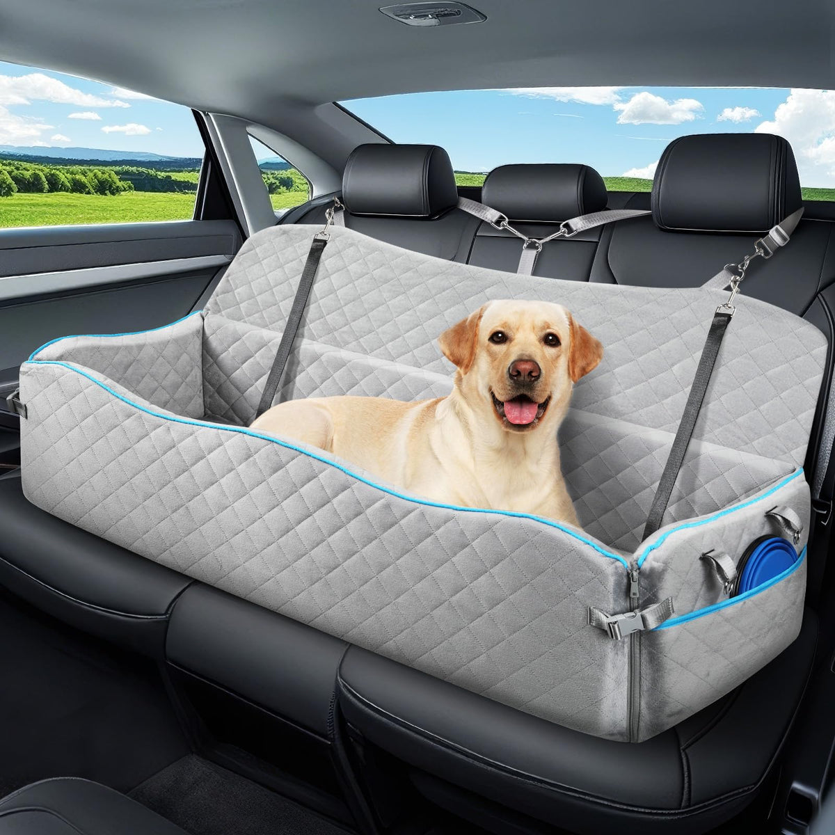 Tivray siège auto face avant montrant espace confortable pour grand chien