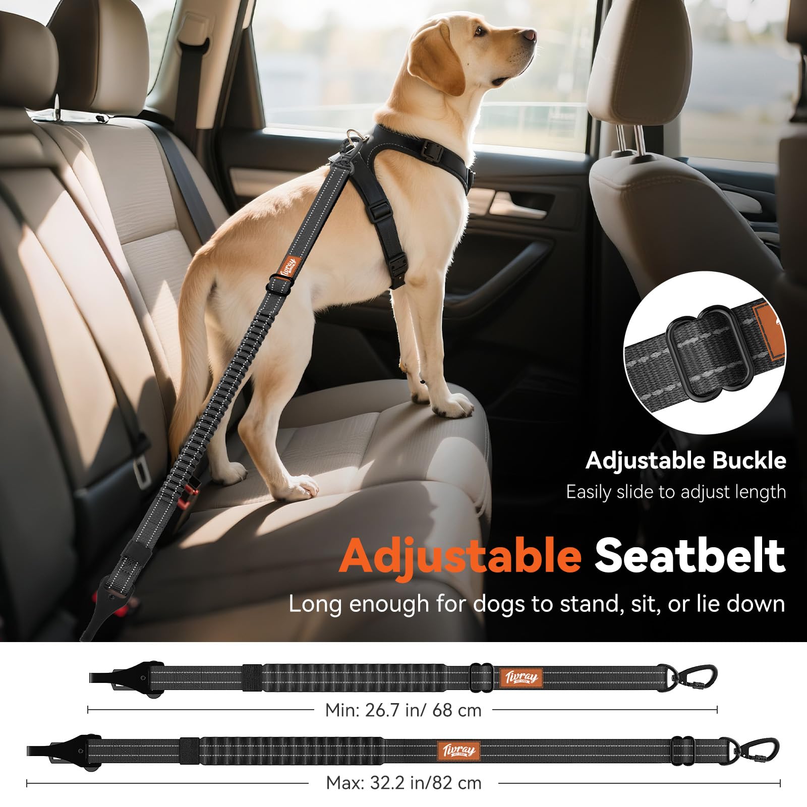 Tivray en usage avec chien attaché sur banquette garantissant confort
