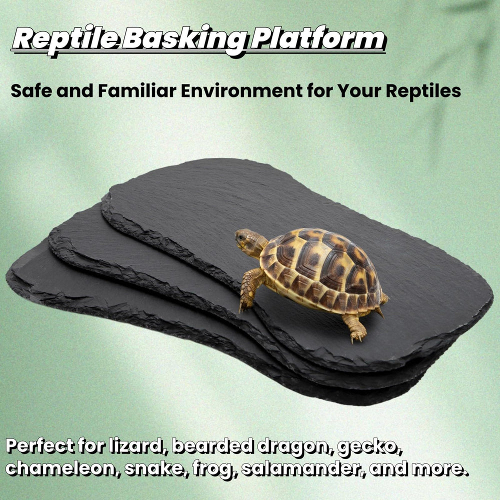 Tlence plateau en usage pour bain offrant zone humide et confort thermique