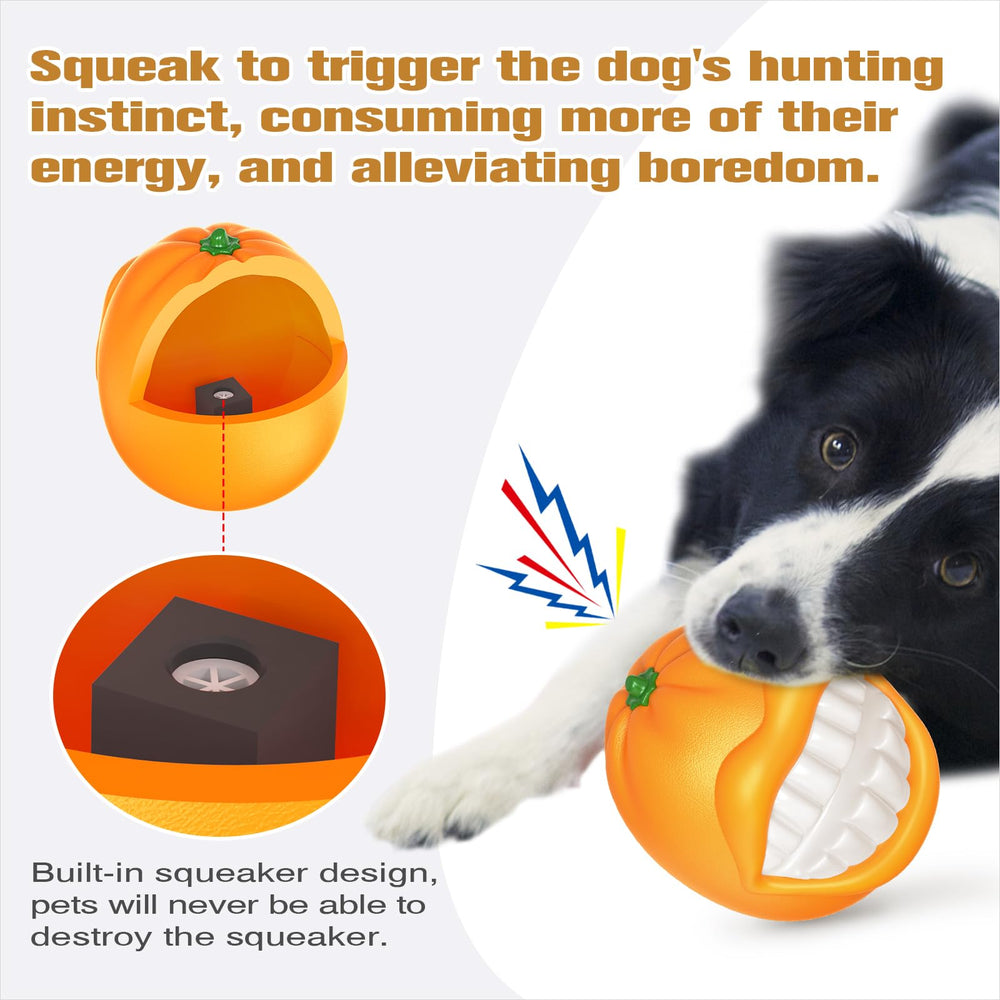 TLKNG chien attrapant la balle en plein lancer pour énergie