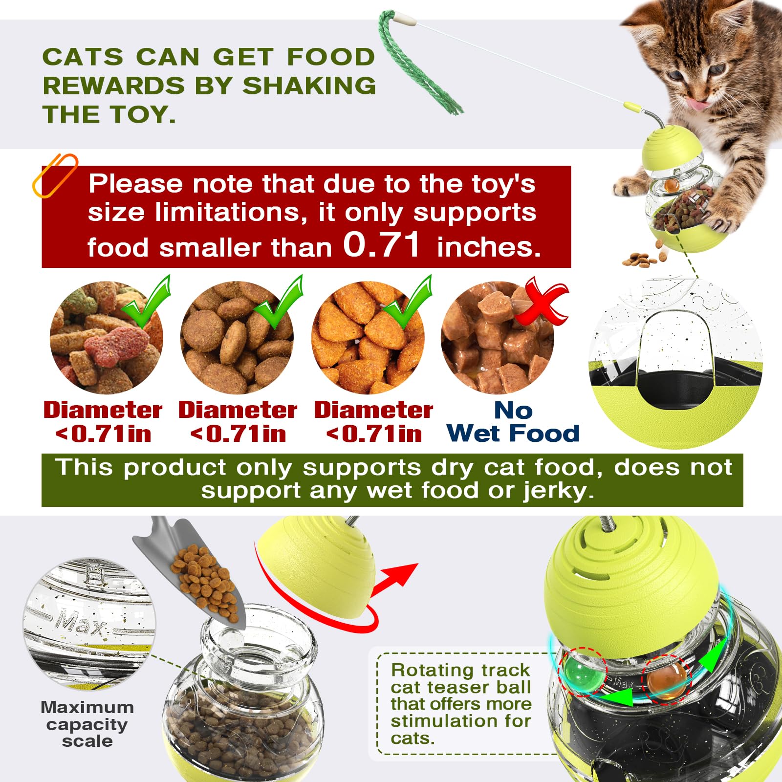 TLKNG comparaison taille avec chat montrant encombrement réduit
