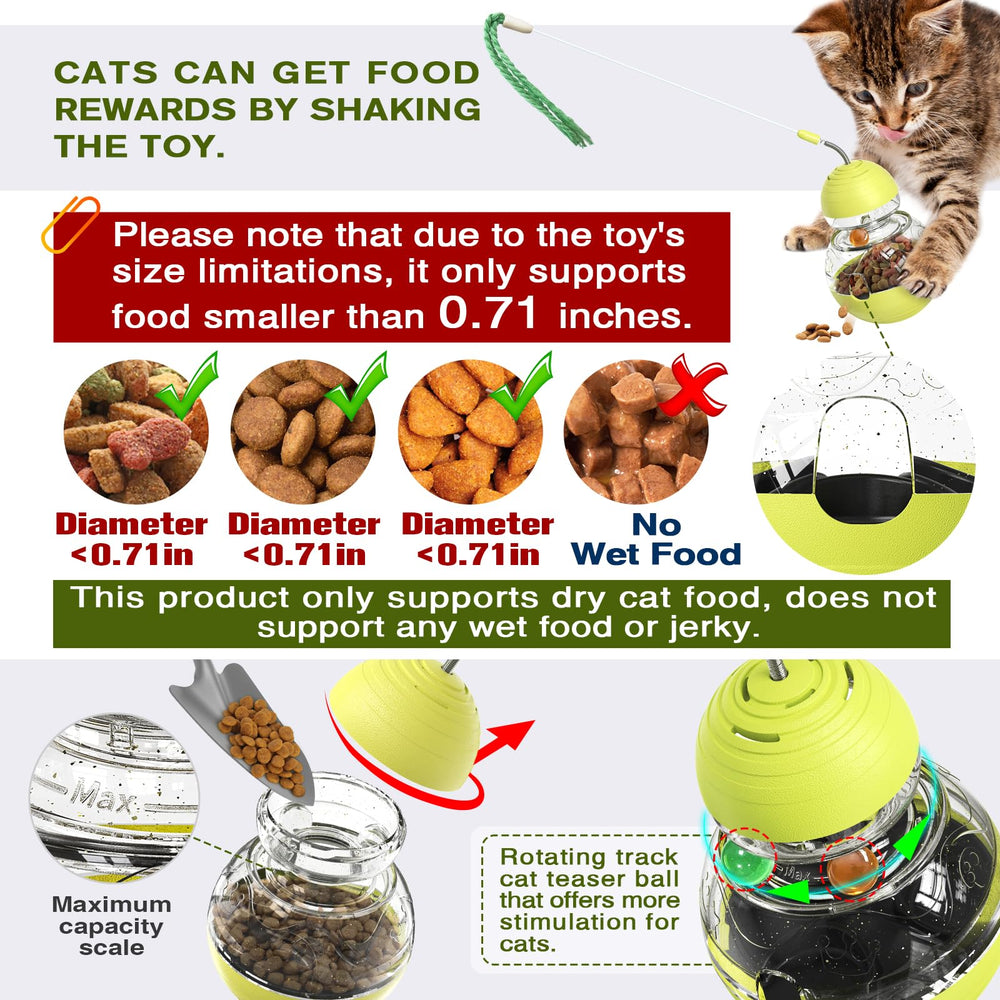 TLKNG comparaison taille avec chat montrant encombrement réduit