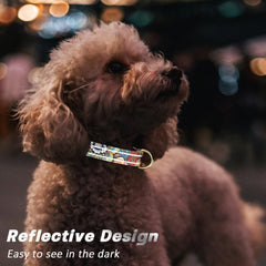 TMOODEL collier texture nylon résistant et confortable pour chien