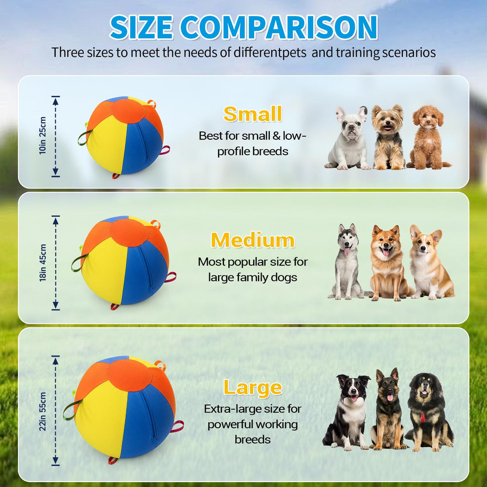 Tobaisaa balle en usage avec chien courant dans un champ pour exercice supervisé