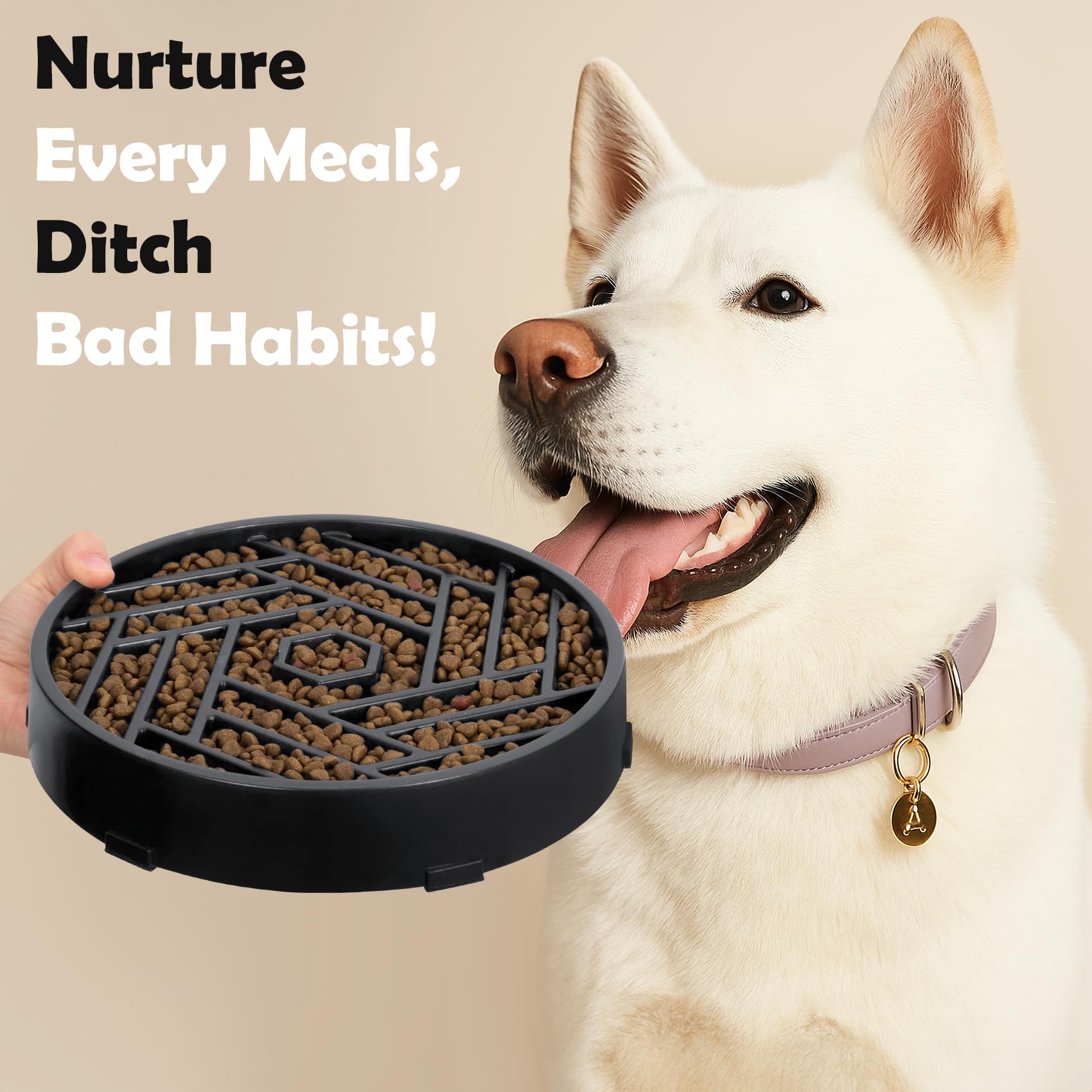 tobyto chien utilisant la gamelle encourage stimulation mentale et lenteur