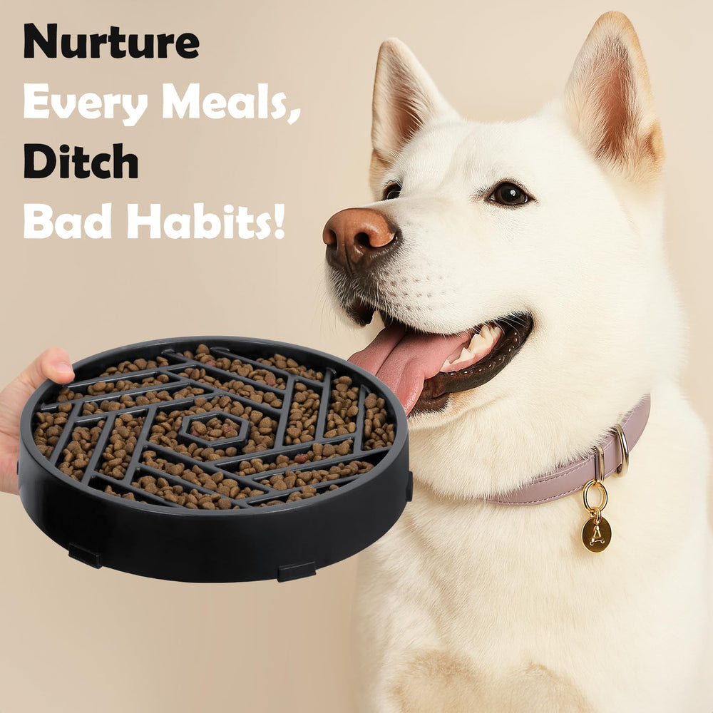 tobyto chien utilisant la gamelle encourage stimulation mentale et lenteur