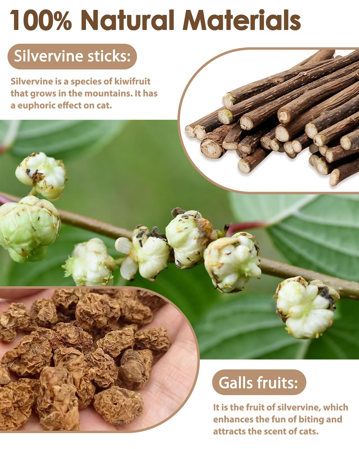 Tocirelo gros plan texture silvervine montrant fibres naturelles pour mastication