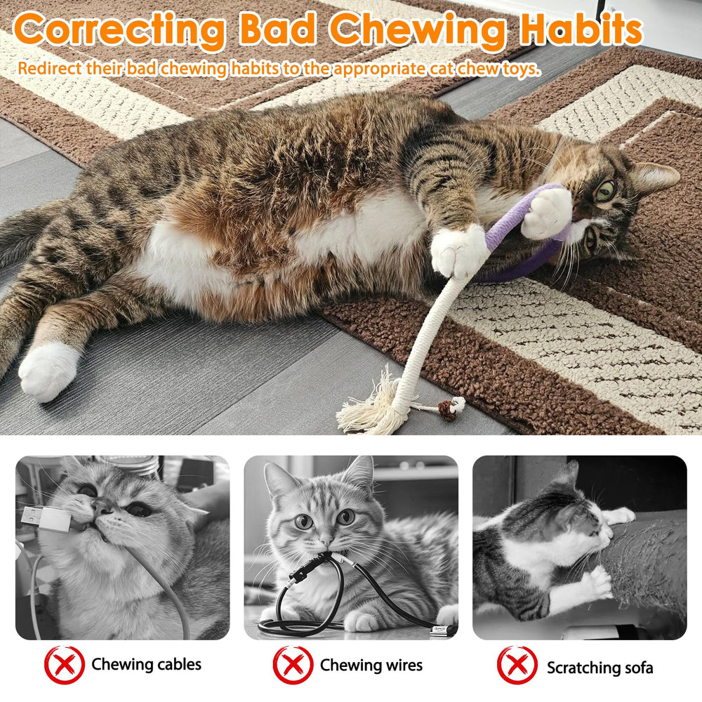 Tocirelo jouet en utilisation avec chat pour jeu calme et divertissement