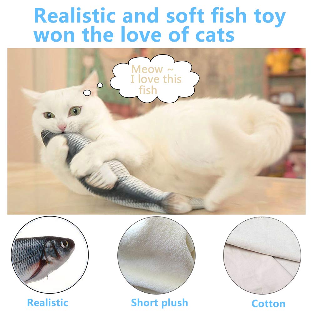 Tocirelo chat en action démontrant stimulation et exercice naturel
