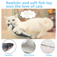 Tocirelo chat en action démontrant stimulation et exercice naturel
