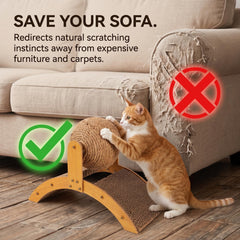 Toddmomy détail du carton et sisal, matériaux durables et sûrs