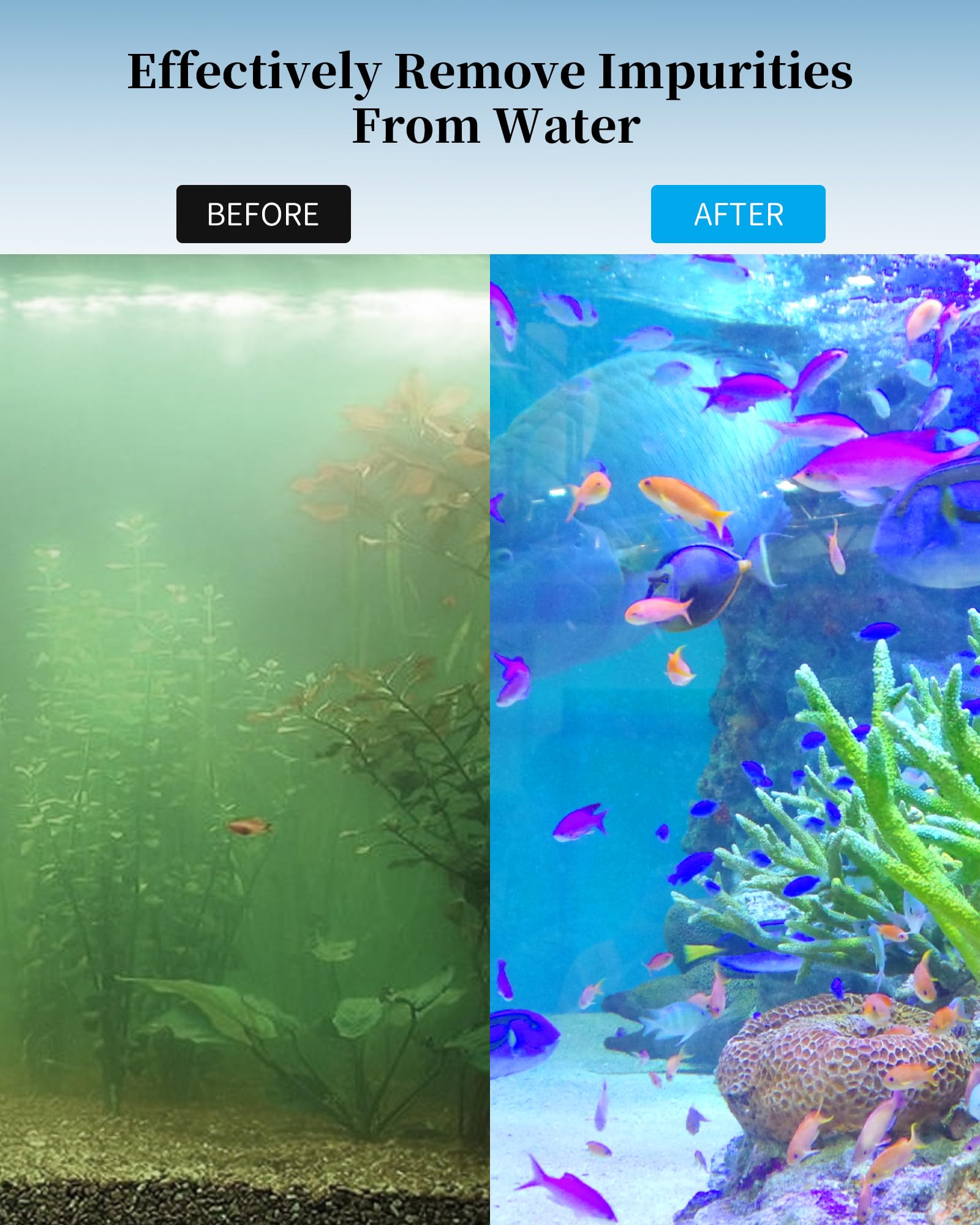 Tofcbye démonstration d'installation du kit dans un filtre Fluval pour entretien facile