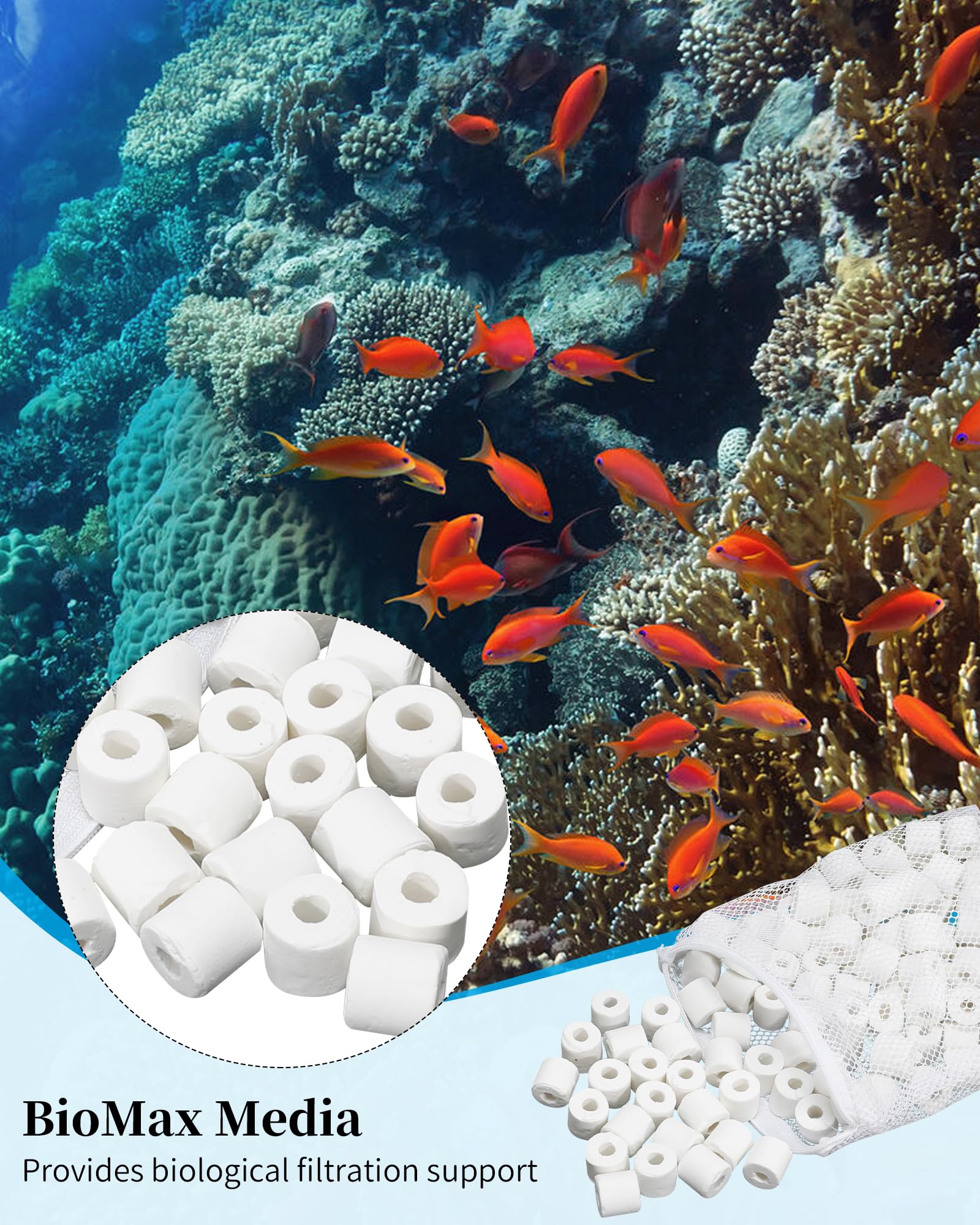 Tofcbye tampons de polissage et blocs bio pour finition claire et eau cristalline