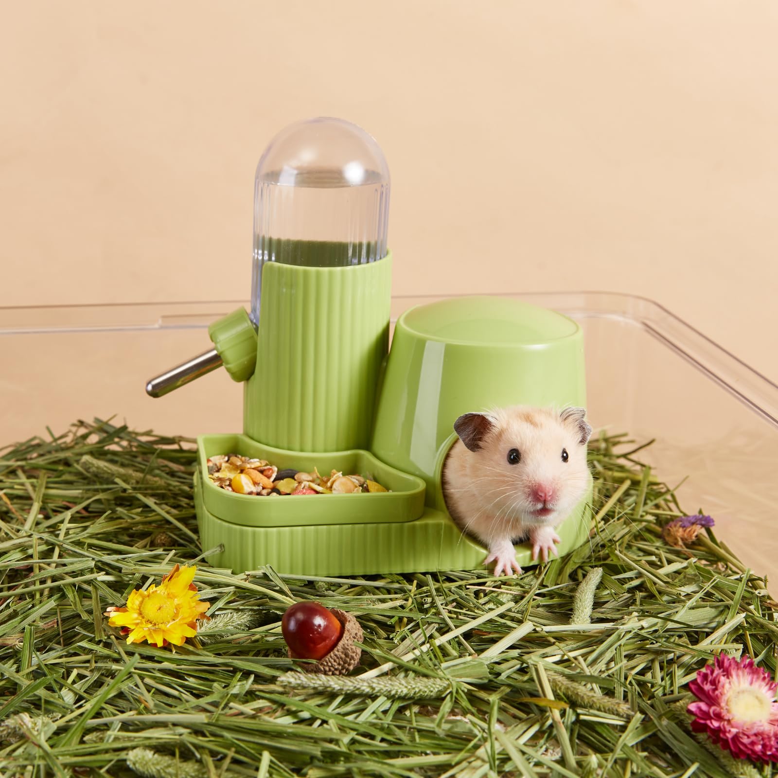TOKAYIFE base-cachette ouverte offrant abri et confort pour hamster