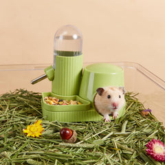 TOKAYIFE base-cachette ouverte offrant abri et confort pour hamster
