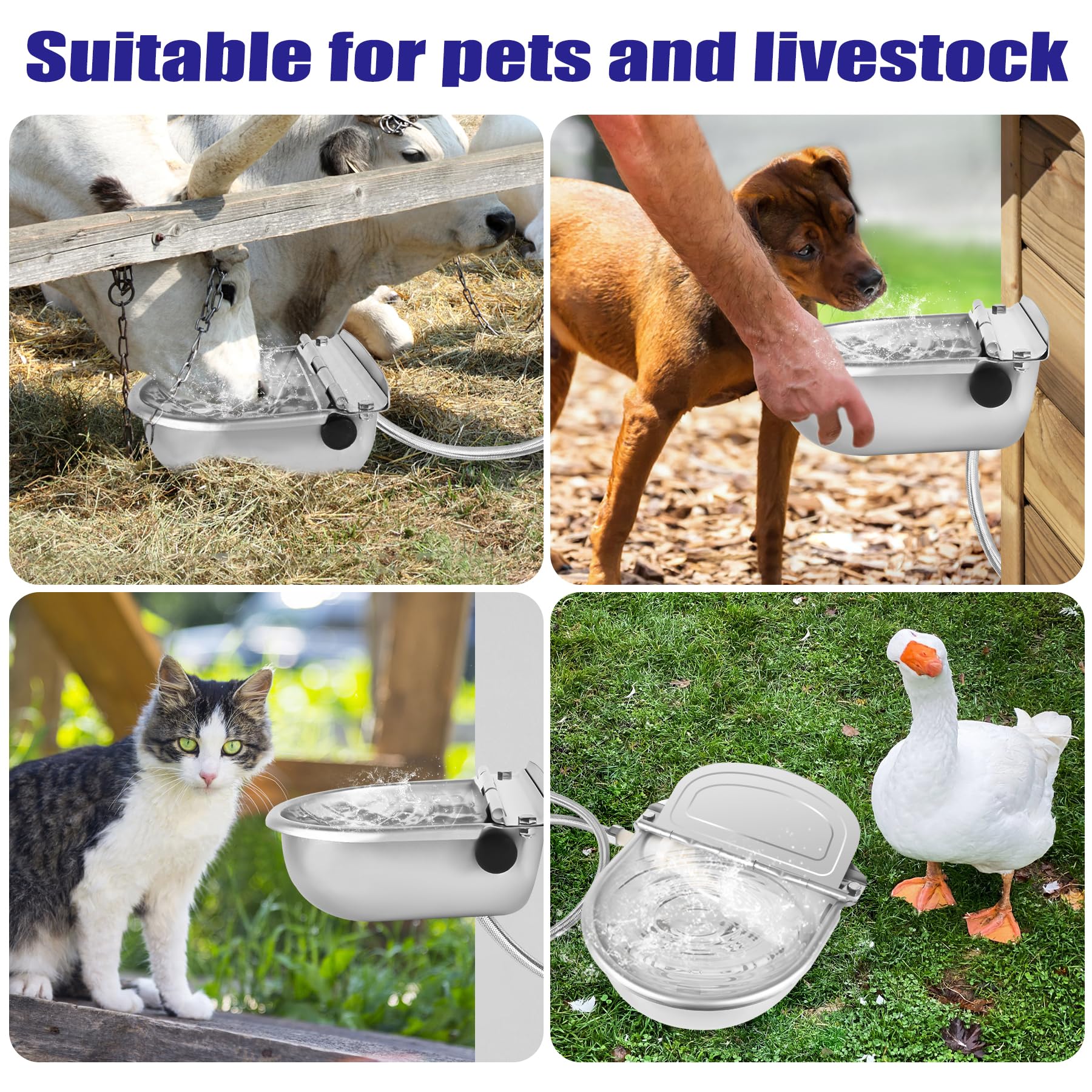 ToLanbbt abreuvoir en ferme fournissant eau propre aux animaux