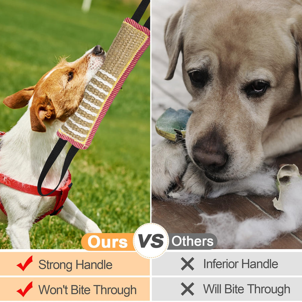 ToLanbbt comparaison taille montrant adaptabilité aux chiens moyens