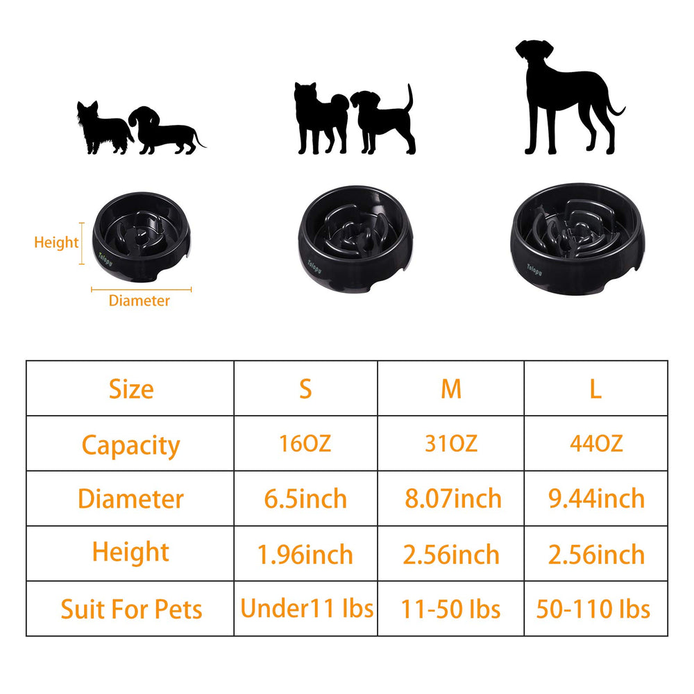 Tolopu gamelle en usage avec chien concentré, stimule mastication et jeu