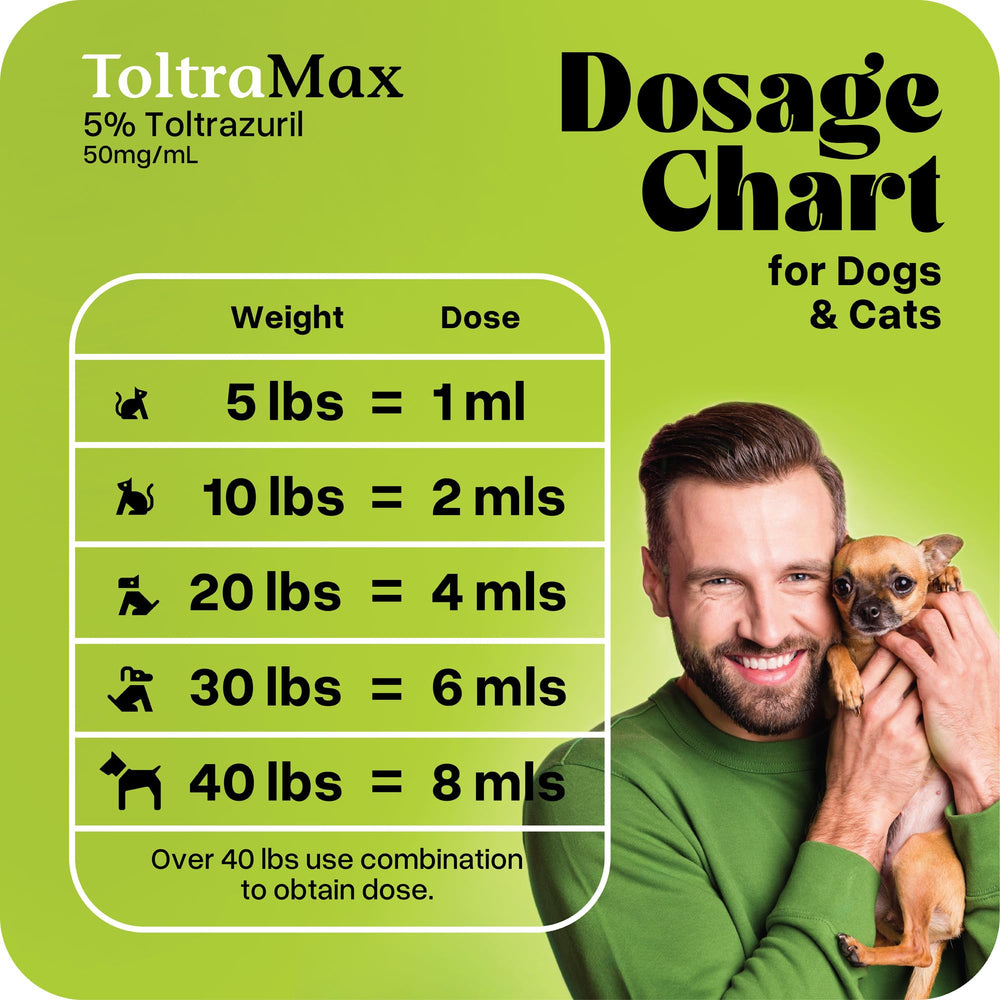 ToltraMax administration au chat montrant facilité d'utilisation et sécurité