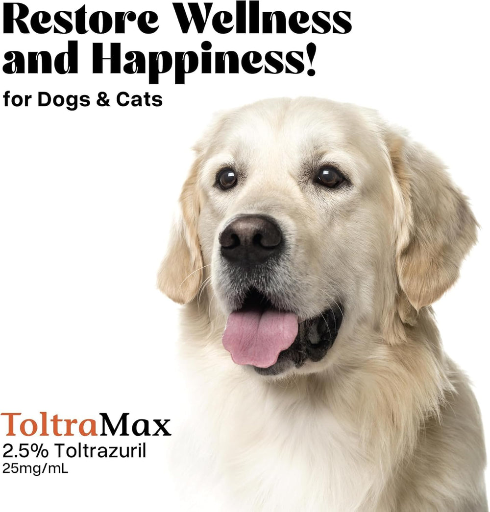 ToltraMax comparaison taille flacon à côté d’une main, bénéfice portabilité