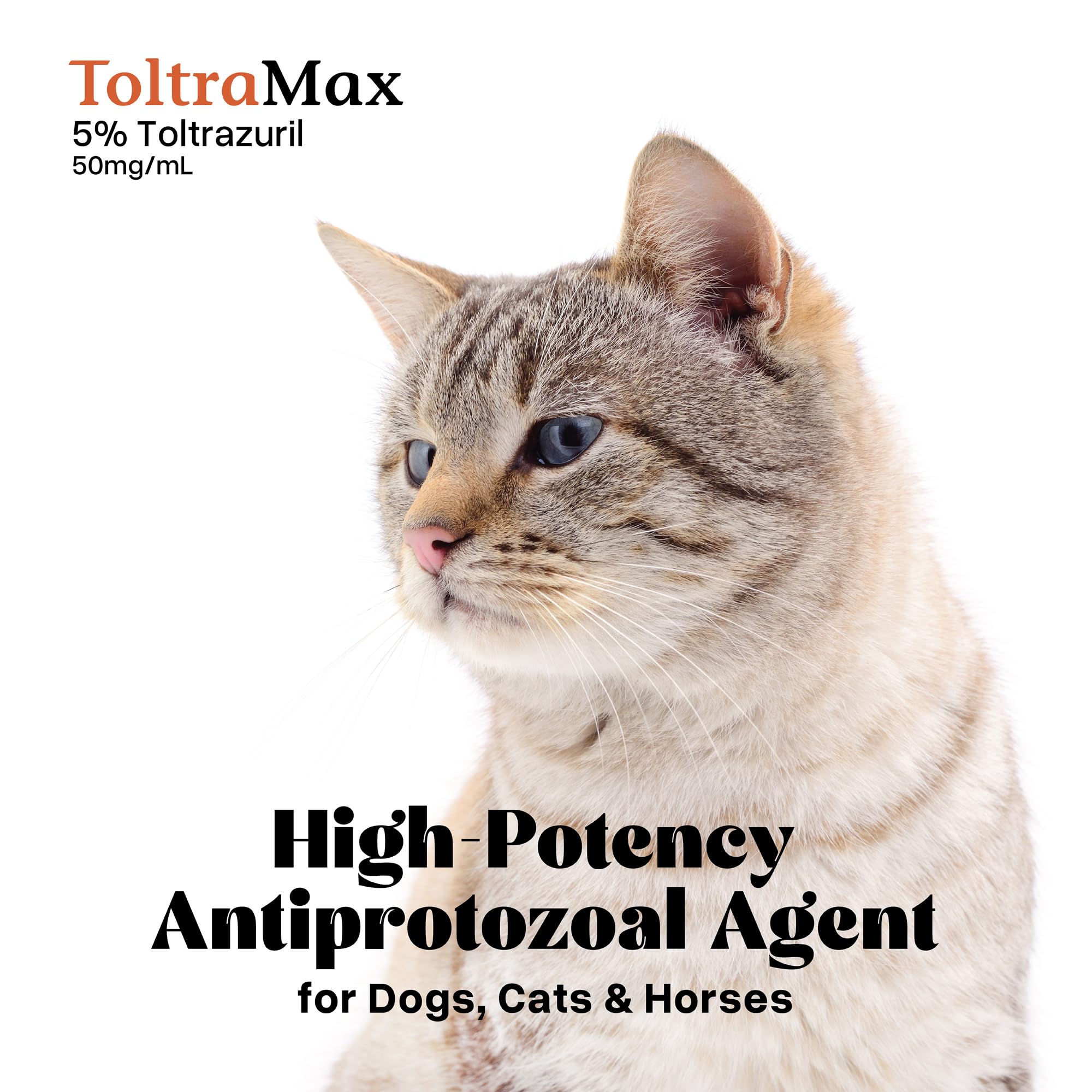 ToltraMax emballage et notice mettant en évidence informations essentielles