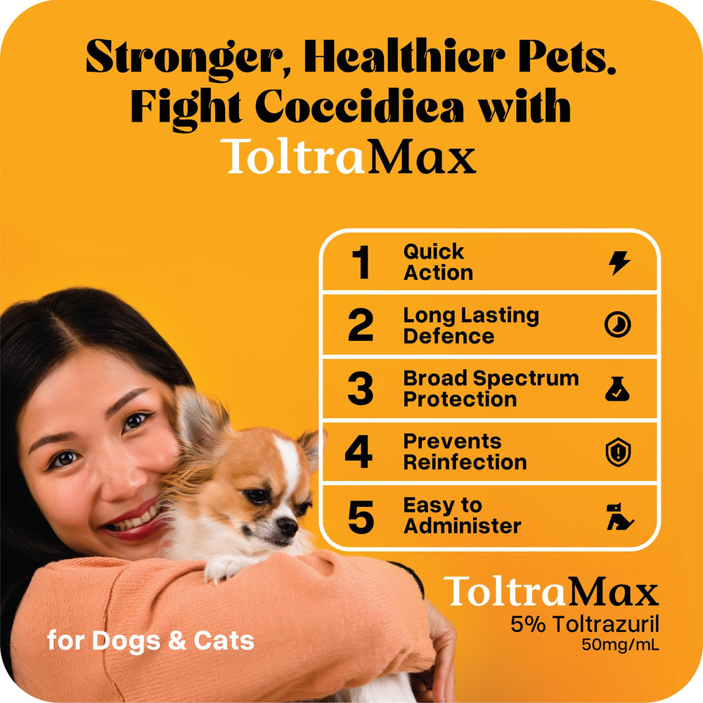 ToltraMax administration orale à un chat illustrant dosage adapté