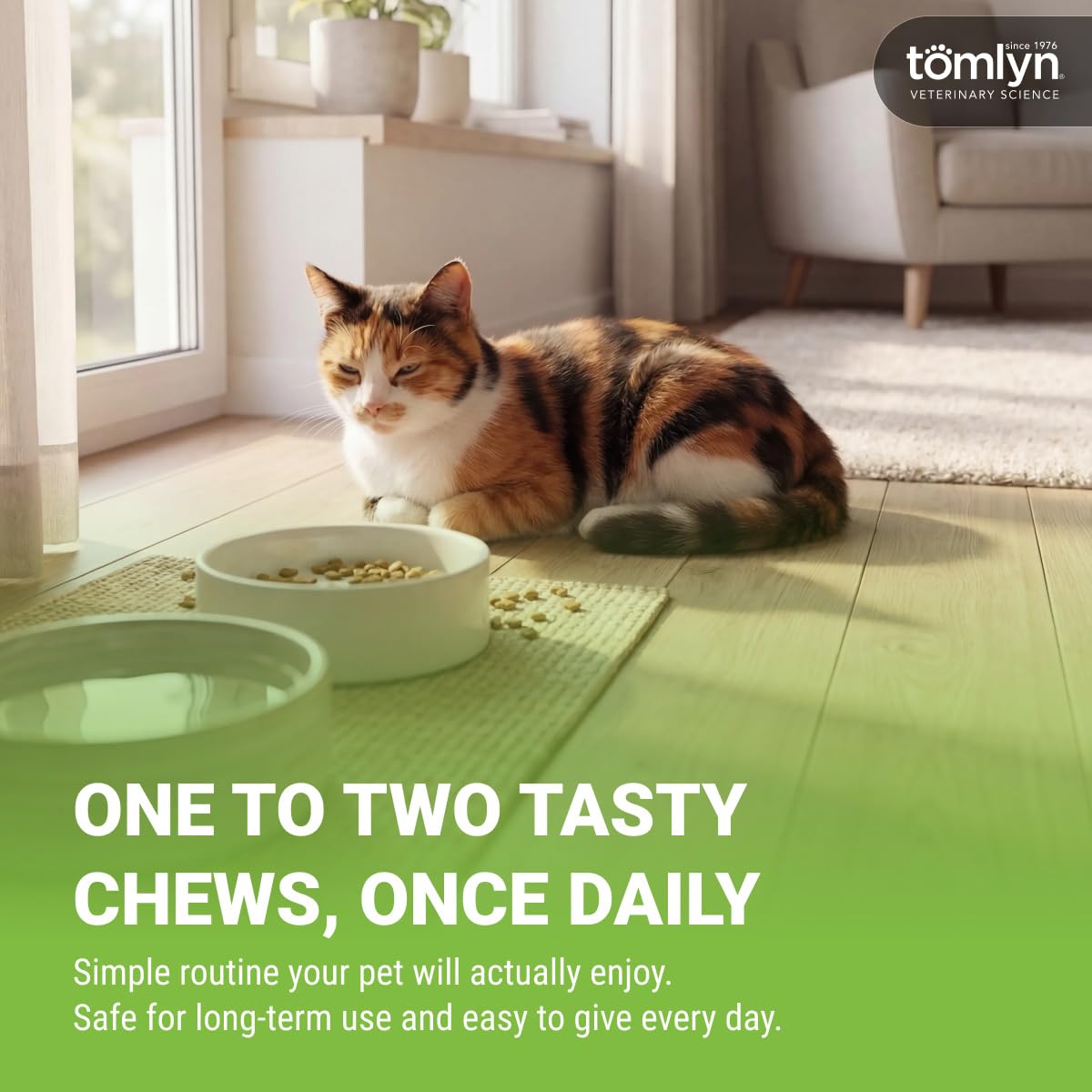 TOMLYN chat mange friandise acceptation et appétence