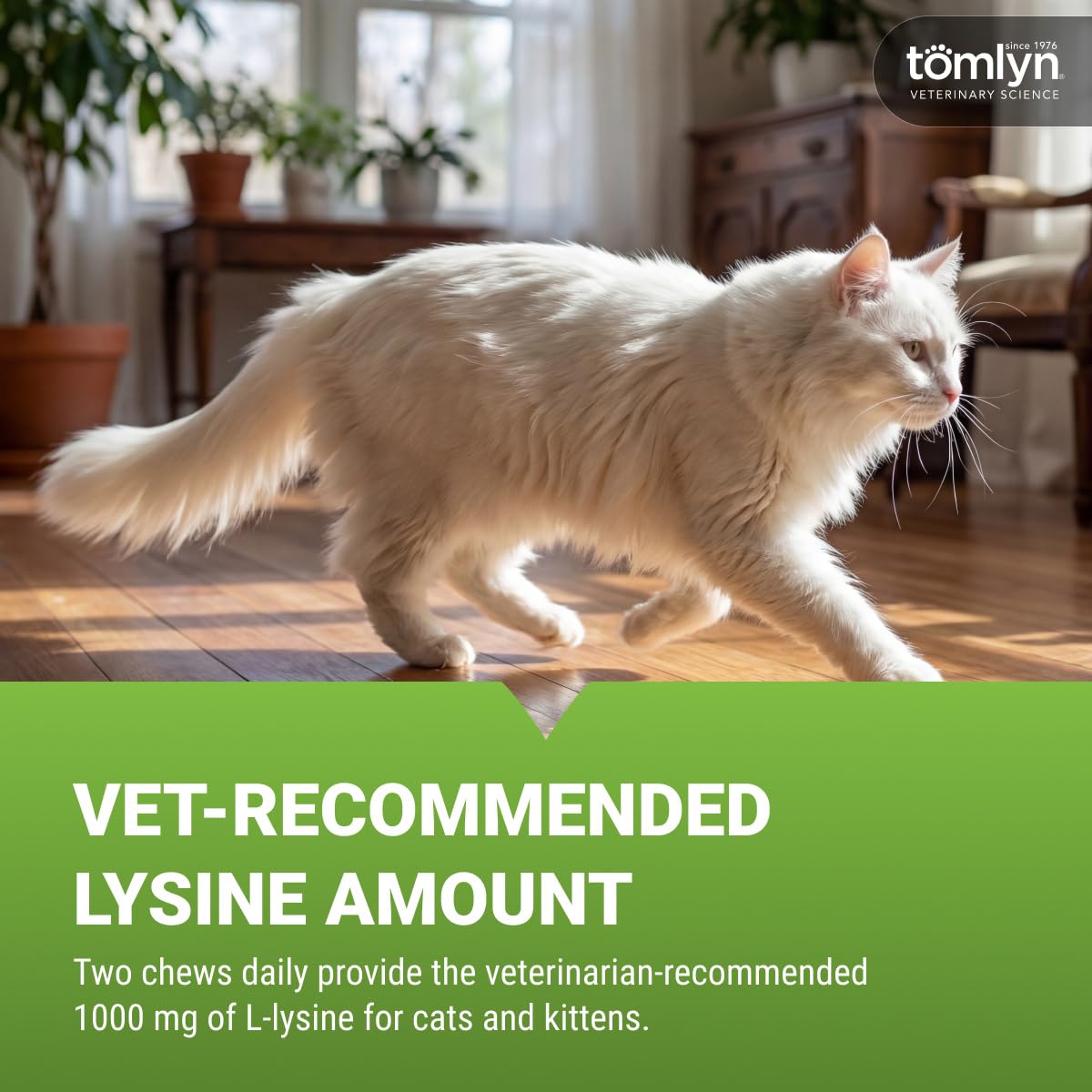 TOMLYN masticable en main comparaison taille facilement administrable