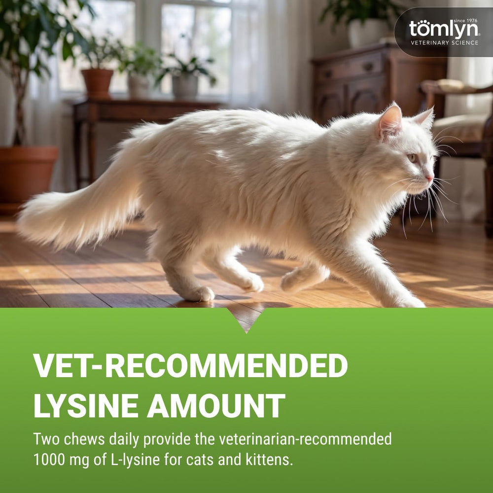 TOMLYN masticable en main comparaison taille facilement administrable