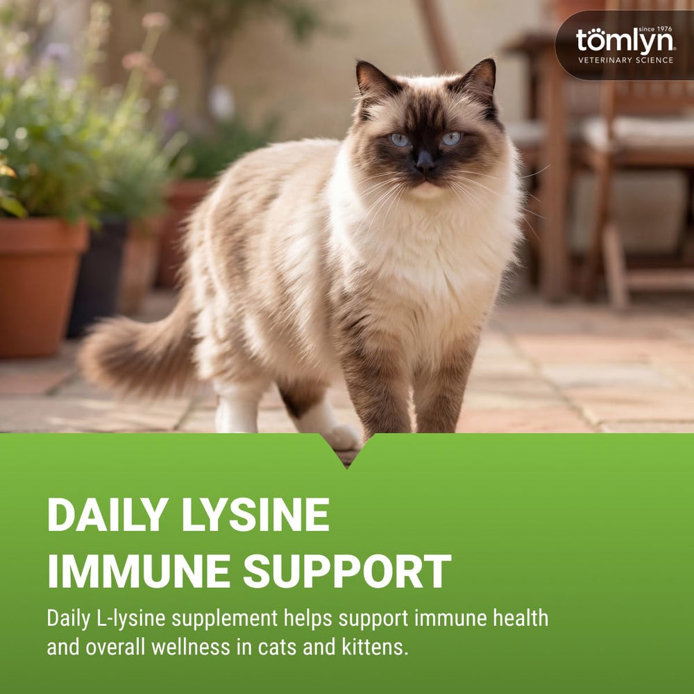 TOMLYN masticable gros plan texture appétente pour chat