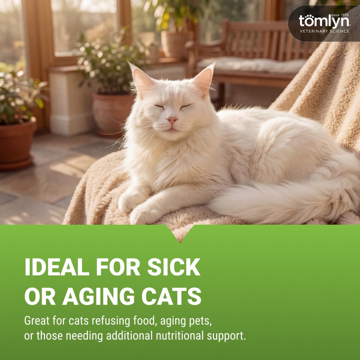 TOMLYN administration du gel Nutri-Cal dans la bouche d'un chat pour stimuler l'appétit