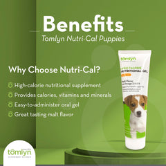 Tomlyn Nutri-Cal tube en gros plan, texture lisse et dosage facile