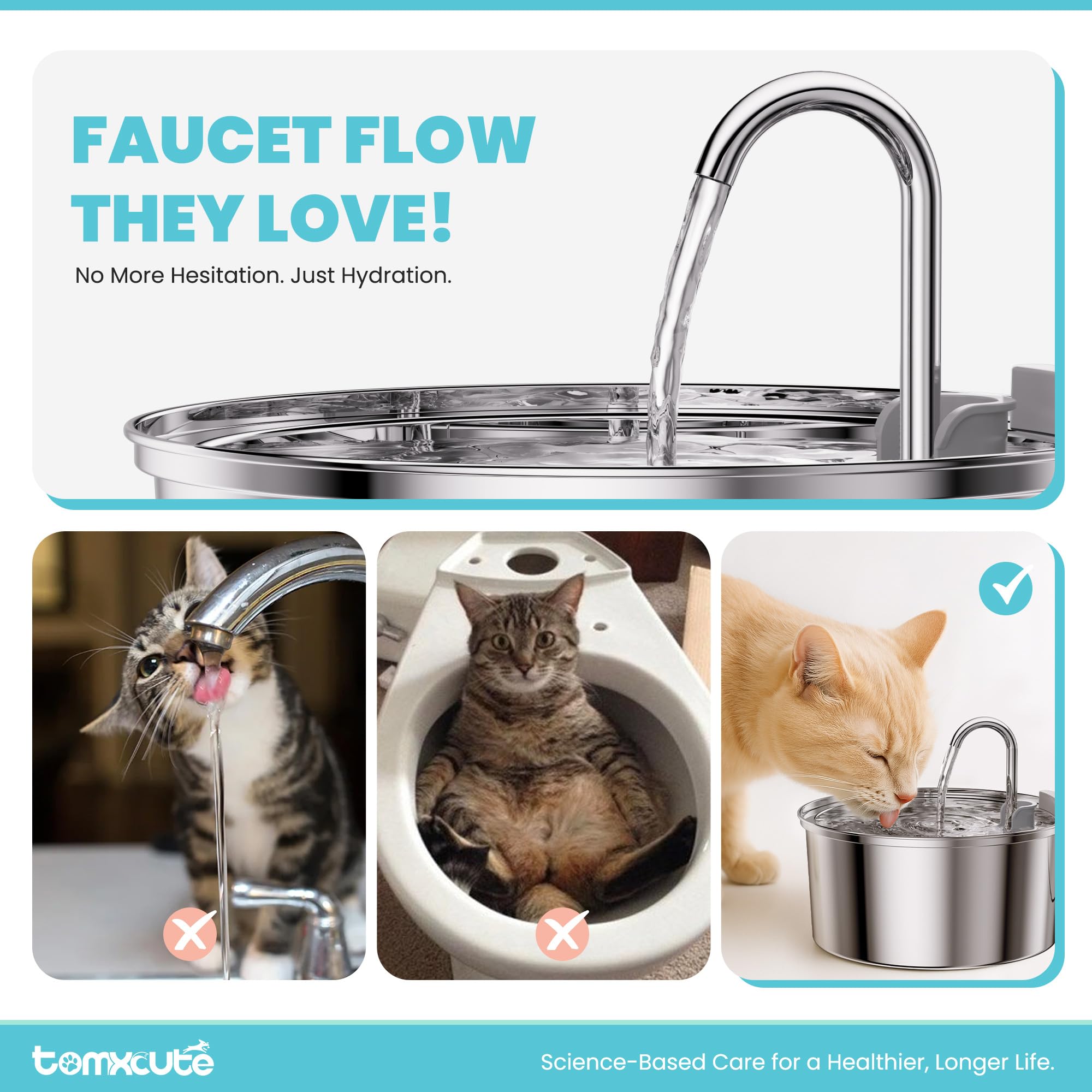 tomxcute chat buvant en usage encourage hydratation naturelle