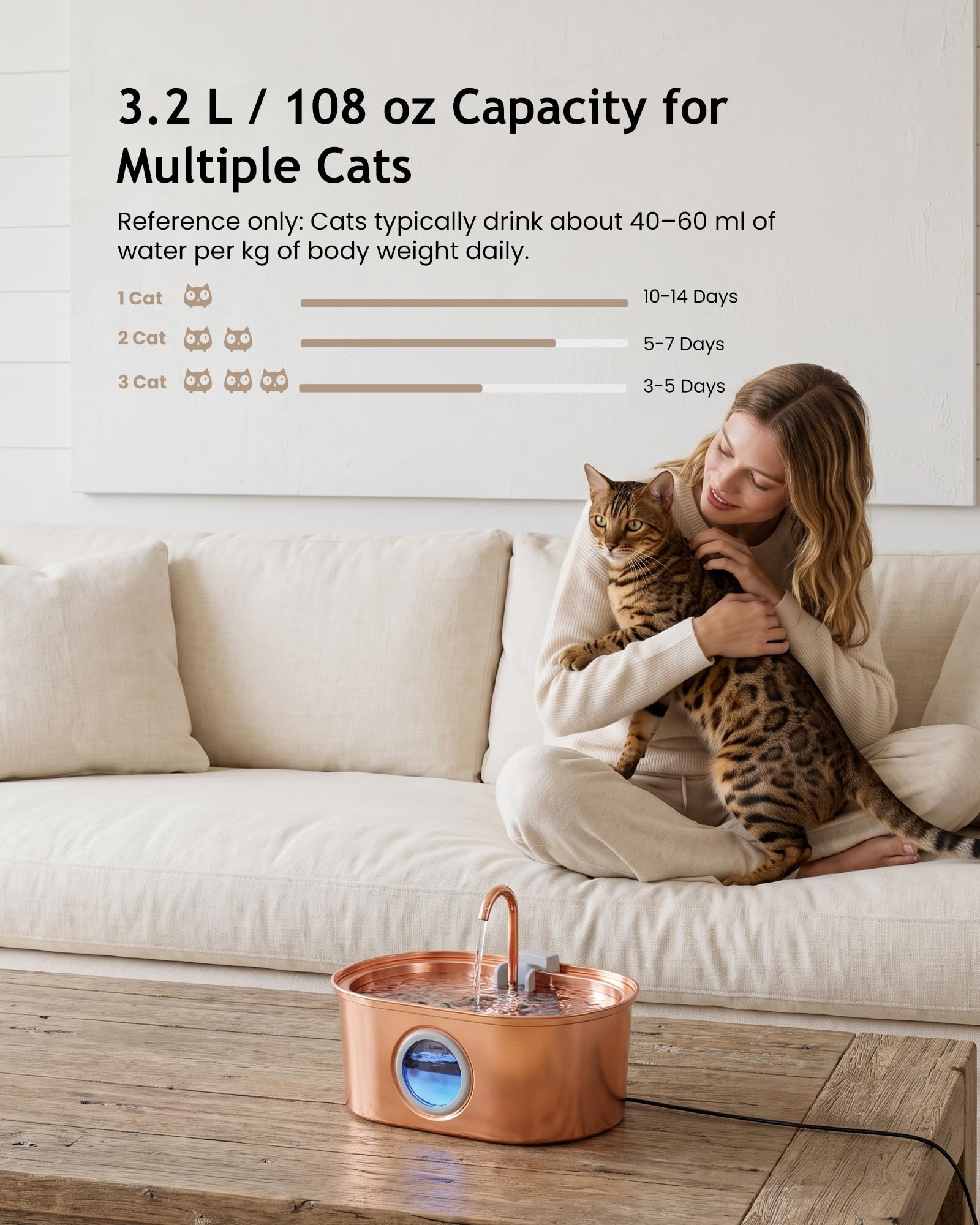 tomxcute chat buvant eau courante favorisant hydratation régulière