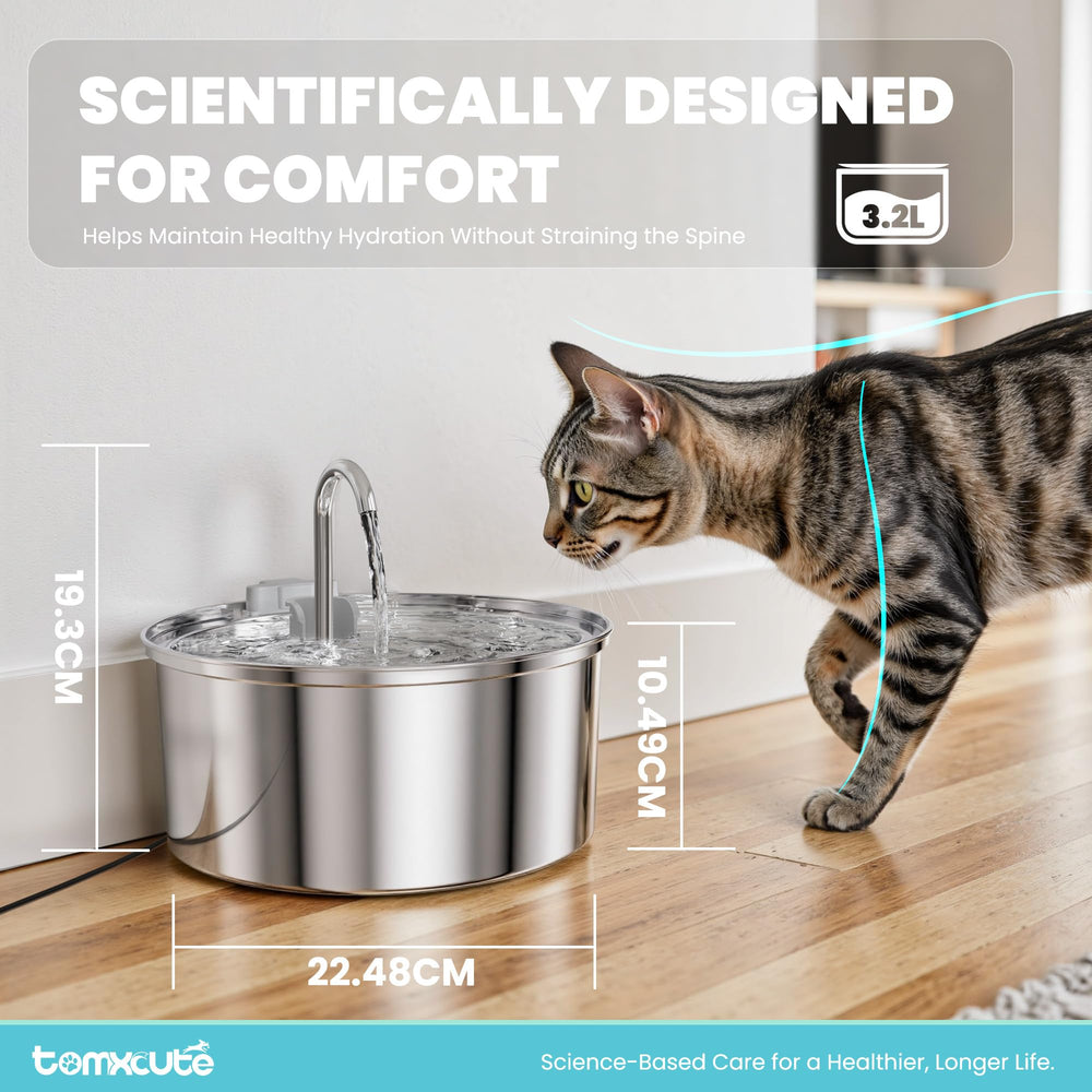 tomxcute eau coulant détail avantage de l'eau en mouvement fraîche