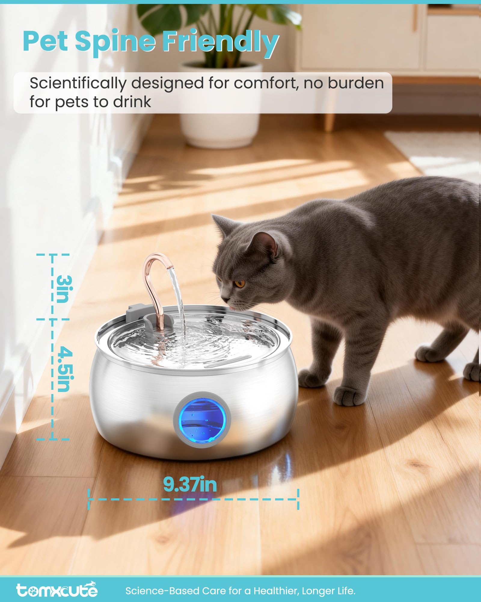 tomxcute fontaine en usage chat boit confortablement et en silence