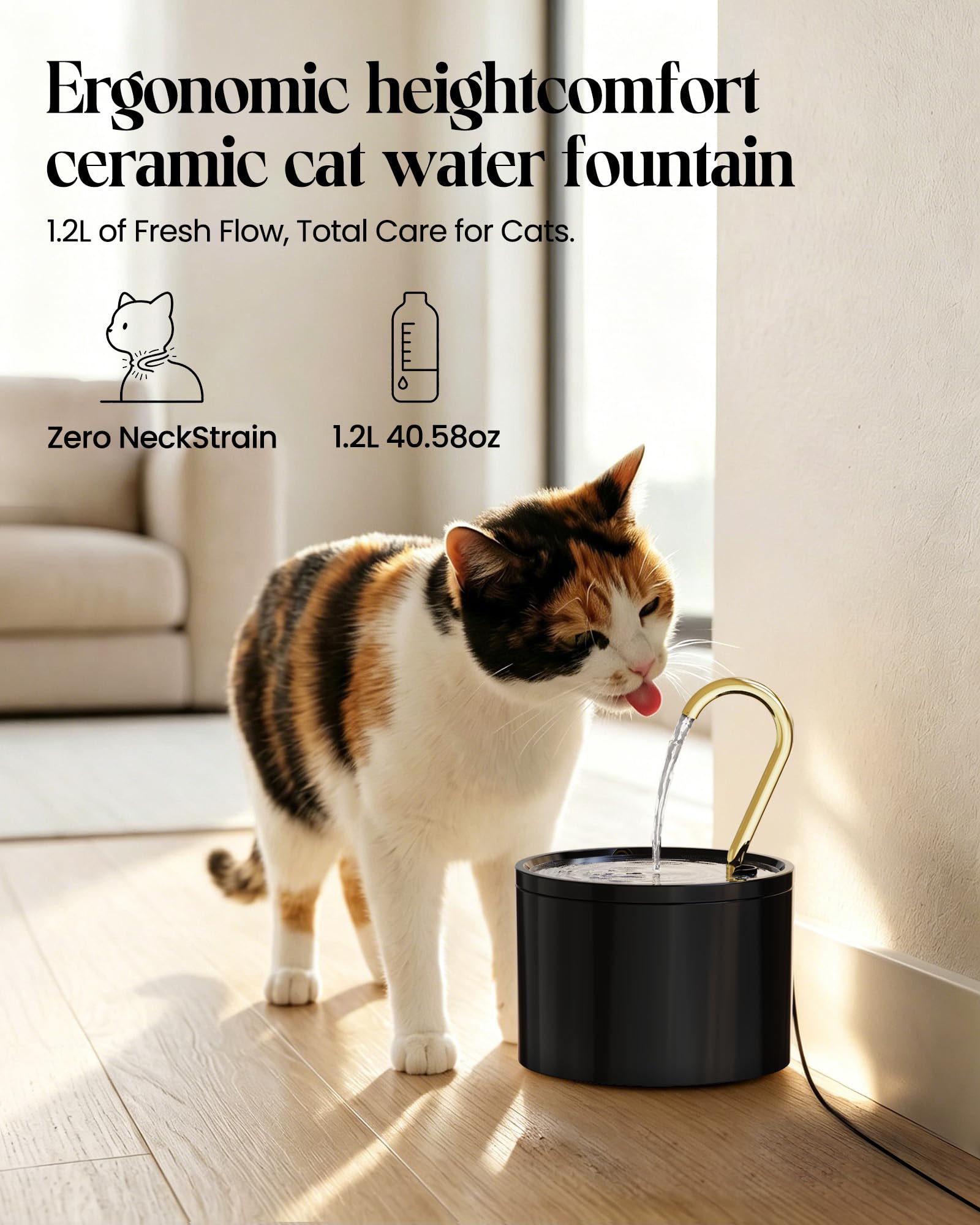 Tomxcute pompe immergée silencieuse assurant fonctionnement discret