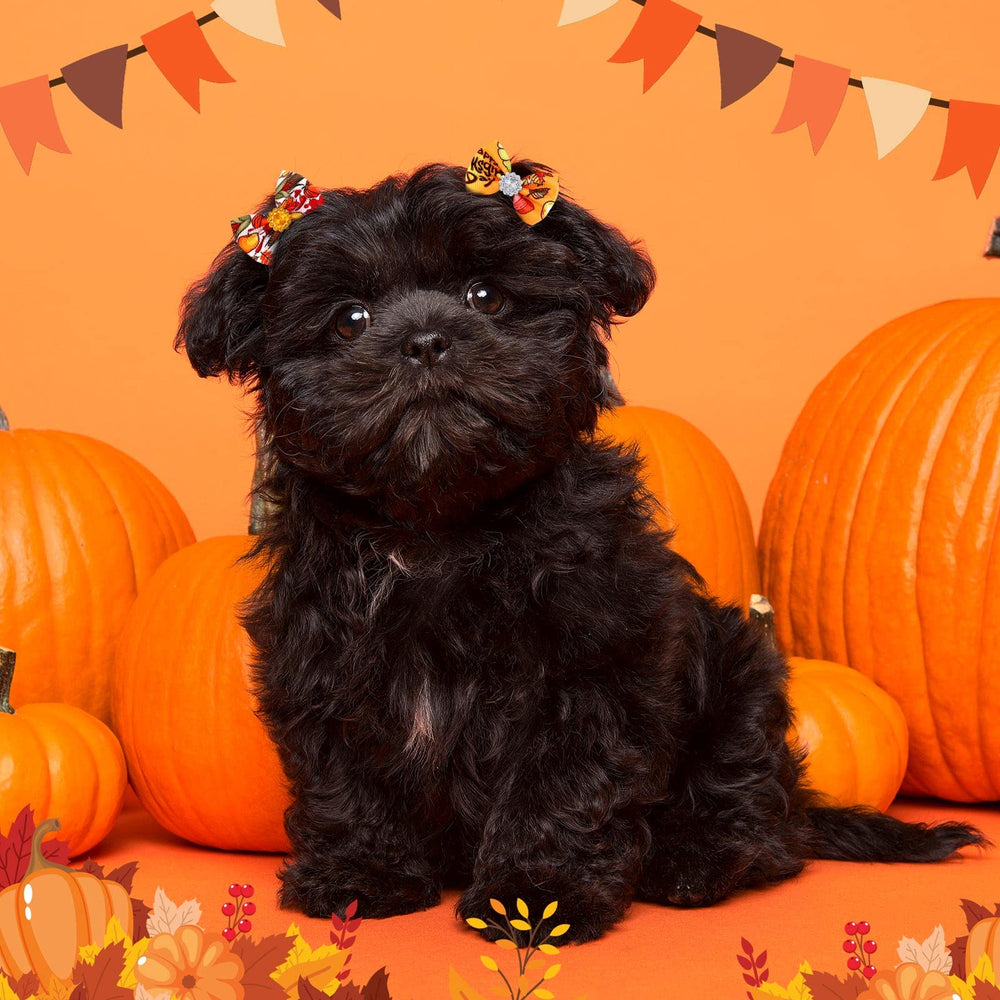 Tondiamo chien déguisé Halloween ajoutant style saisonnier