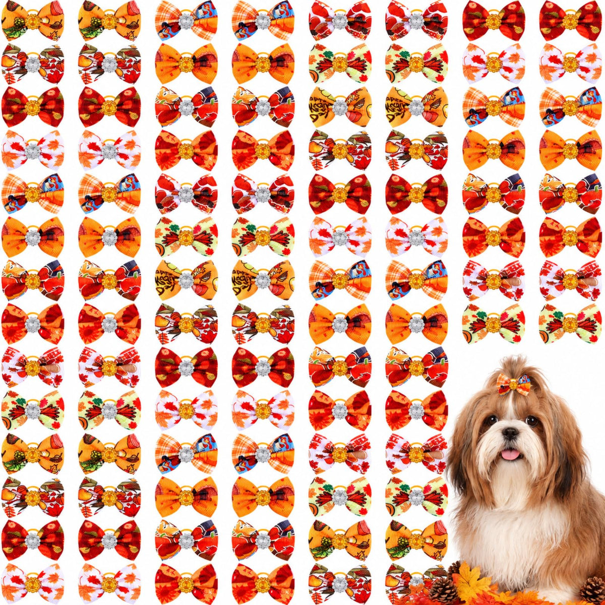 Tondiamo emballage automne montrant 100 nœuds pour chiens et praticité