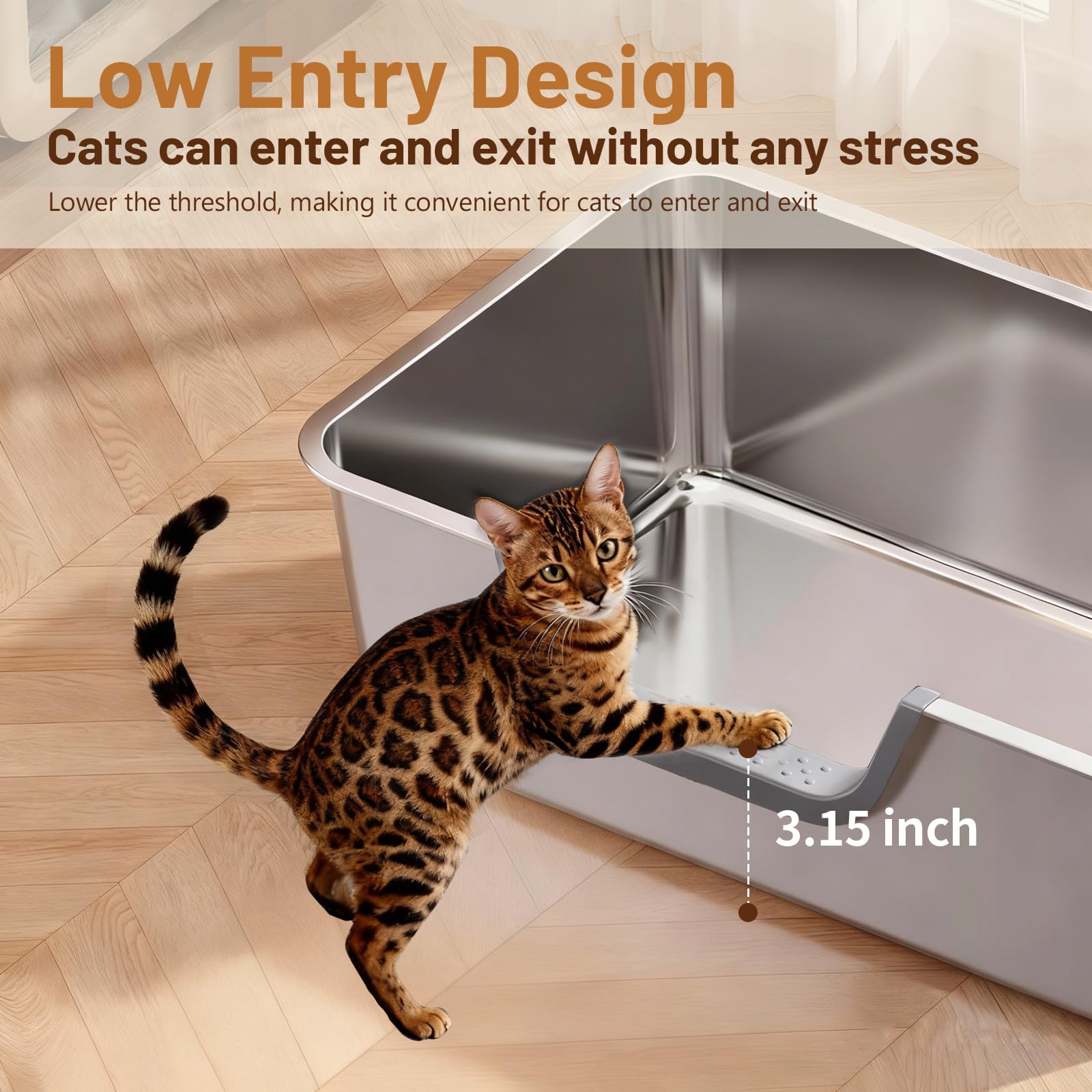 Tondid entrée basse idéale pour chatons et animaux seniors