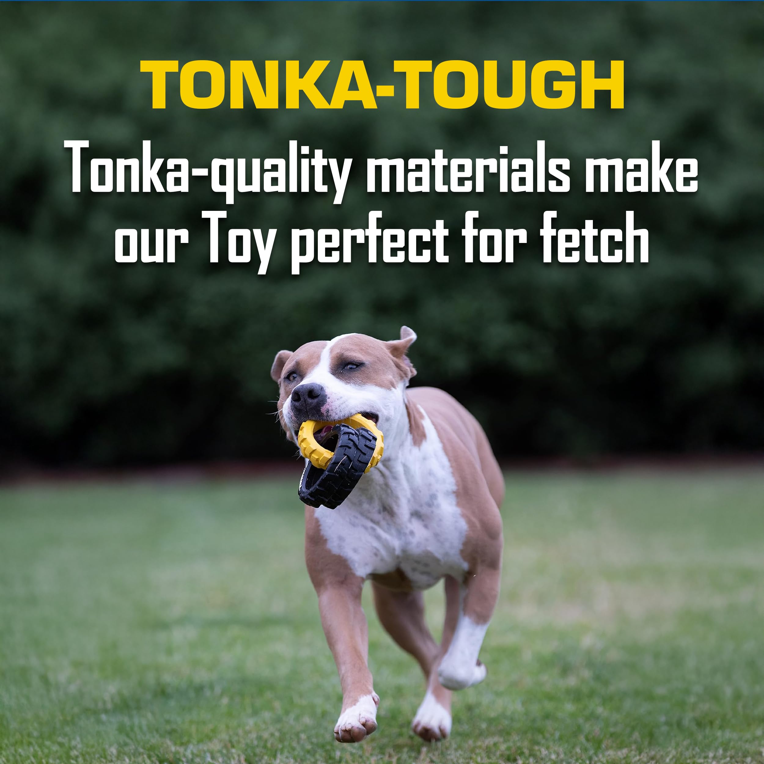 Tonka comparaison taille montrant les 10,5 pouces pour chiens moyens/grands