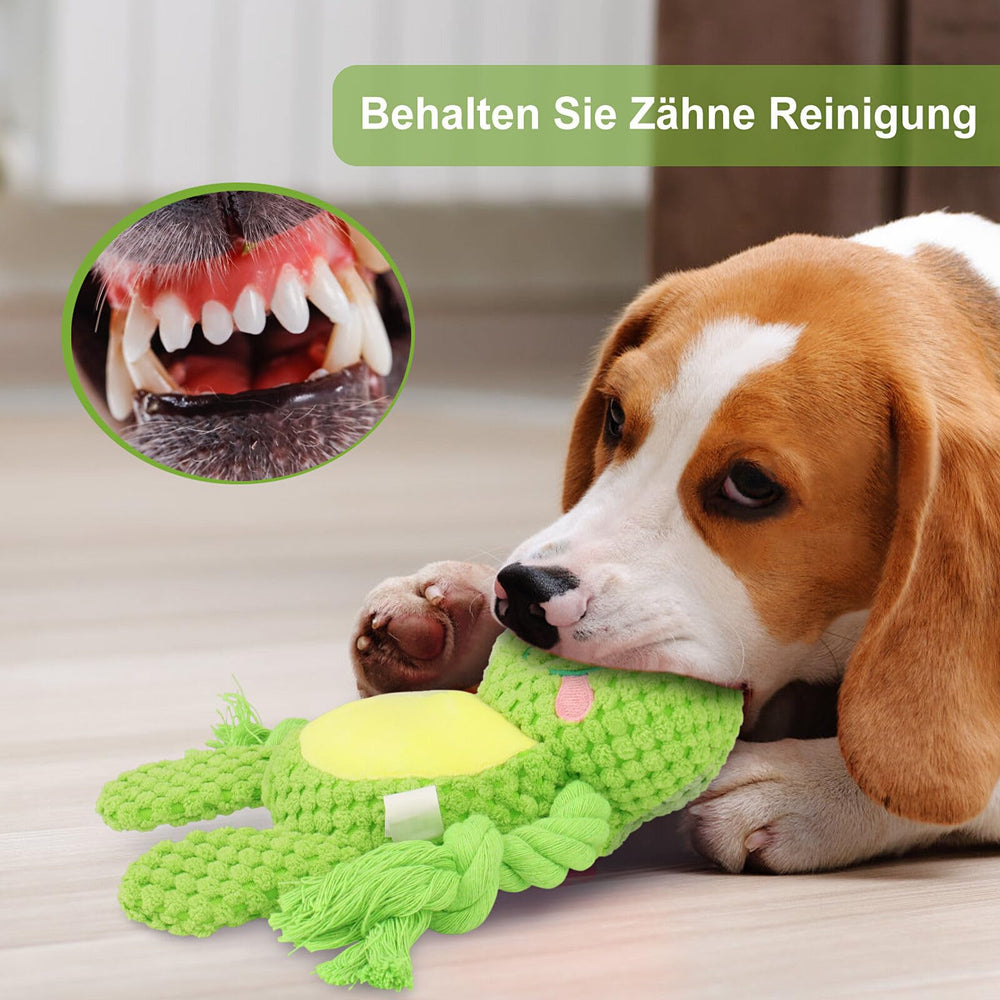 TONYFY chien jouant avec la grenouille, encourage activité et lien