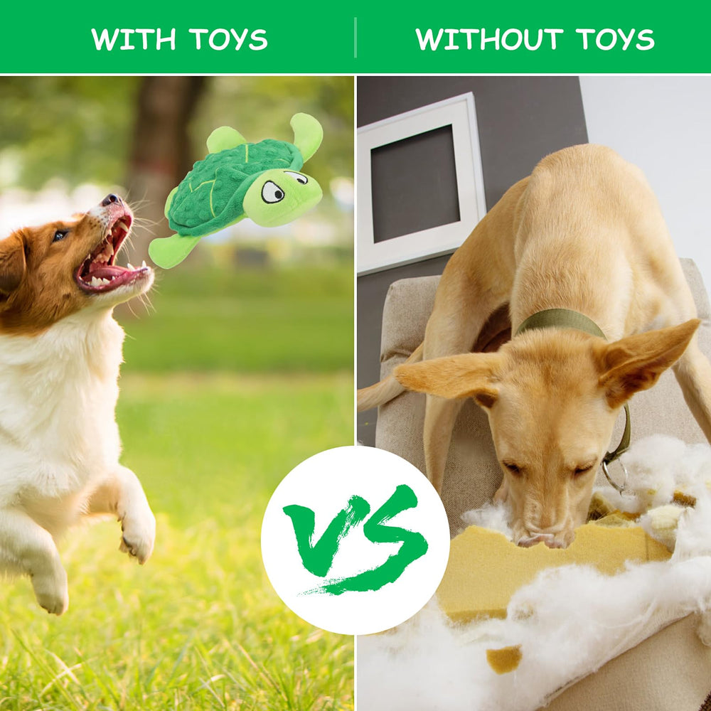 TONYFY tortue en jeu avec chien illustrant stimulation sonore