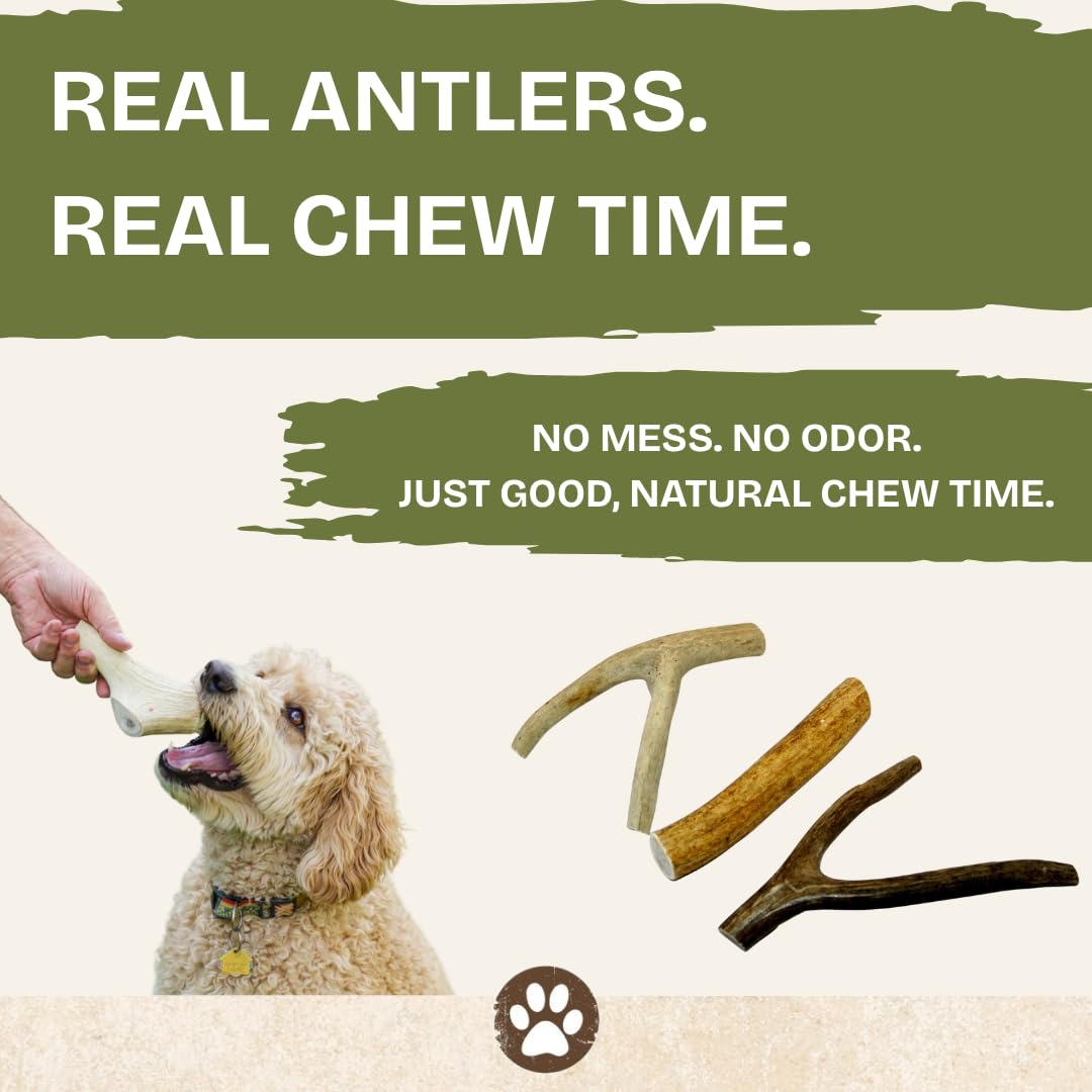 Top Dog Chews chiot rongeant pièce petite renforçant activité mentale