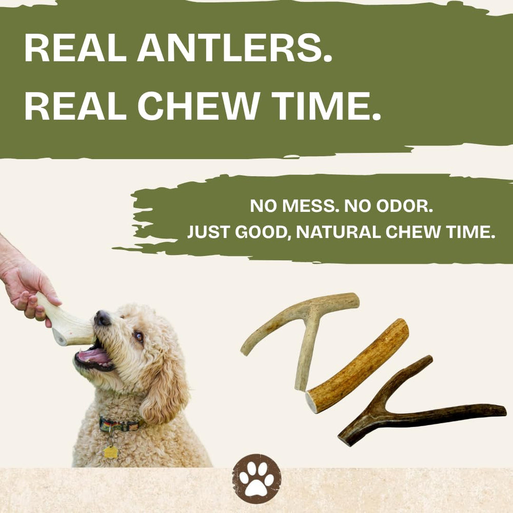 Top Dog Chews chiot rongeant pièce petite renforçant activité mentale