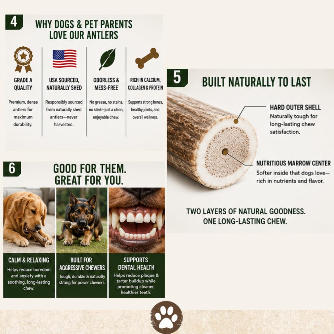 Top Dog Chews échelle et comparaison de taille aidant au bon choix