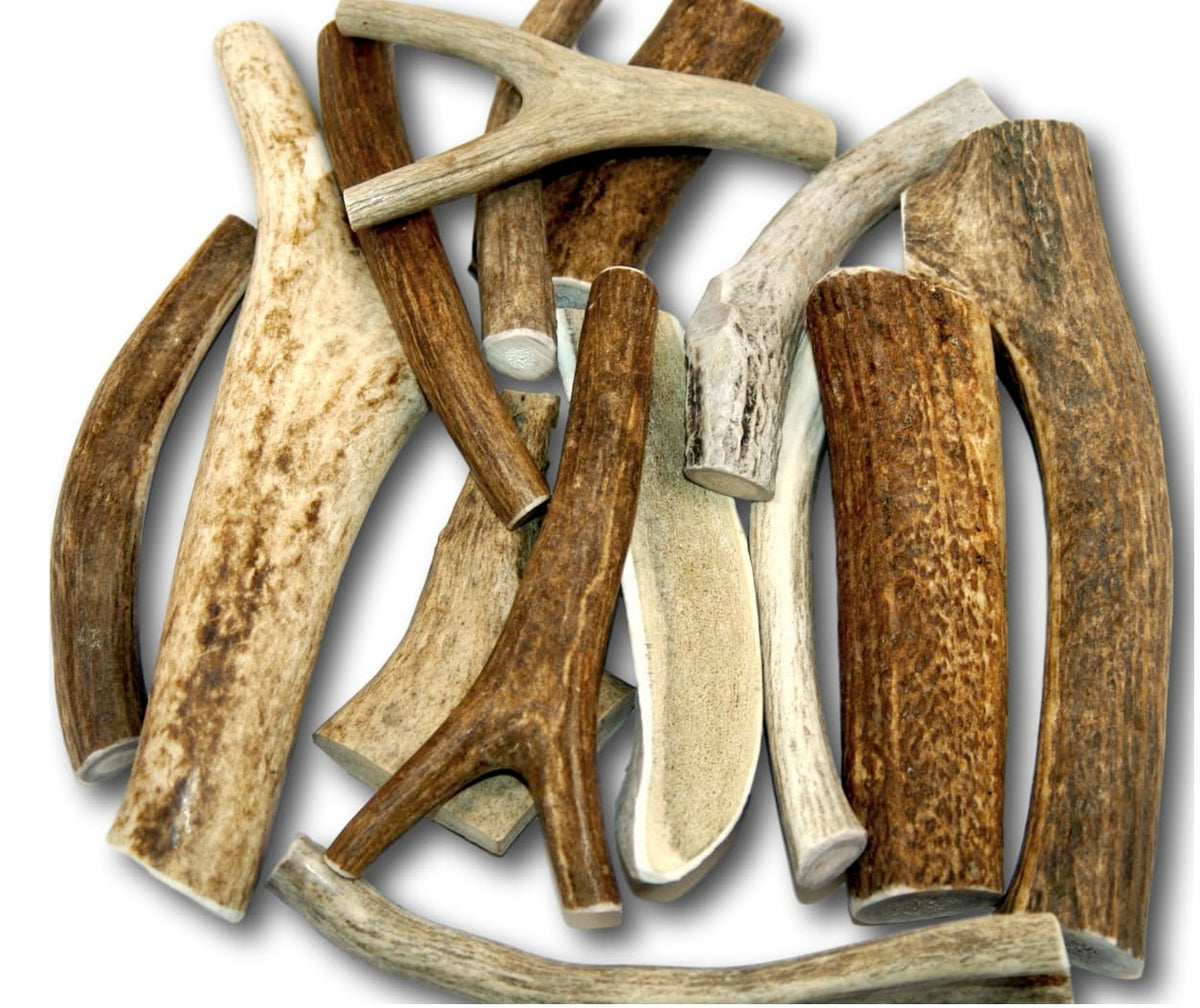 Top Dog Chews emballage avant montrant pack 1 lb et avantage longévité