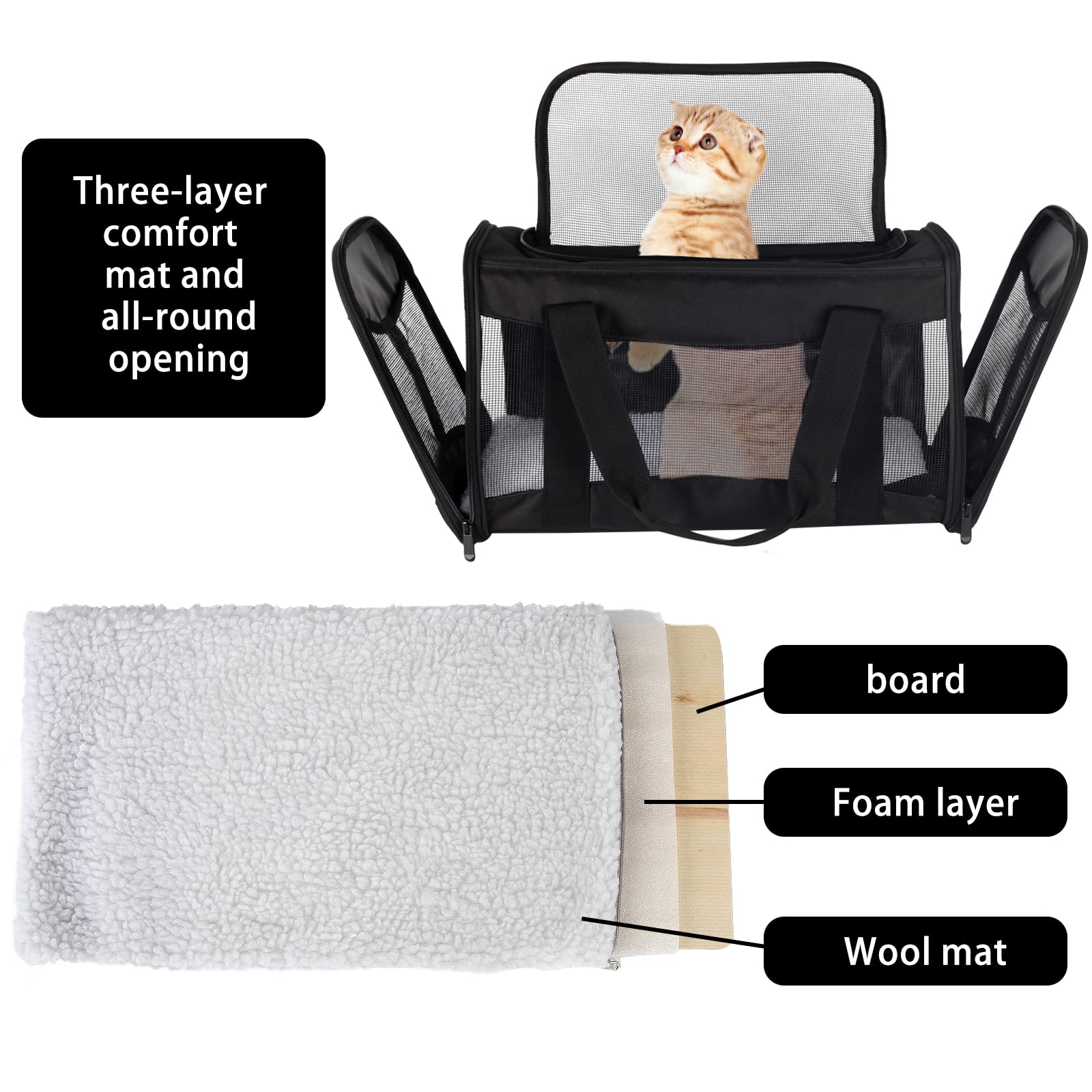 Top tasta petit chat à l'intérieur en voyage sécurisé