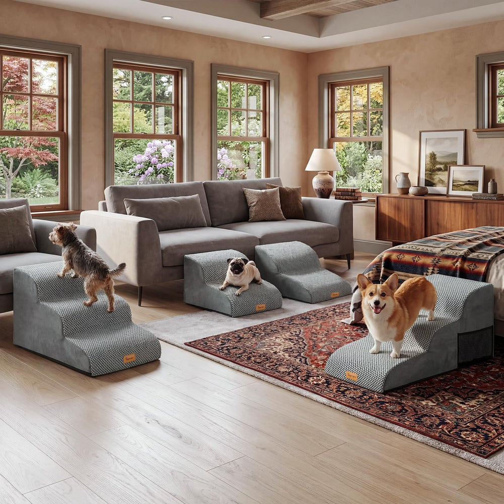 Topmart mise en situation chat et chien utilisant les marches en milieu domestique