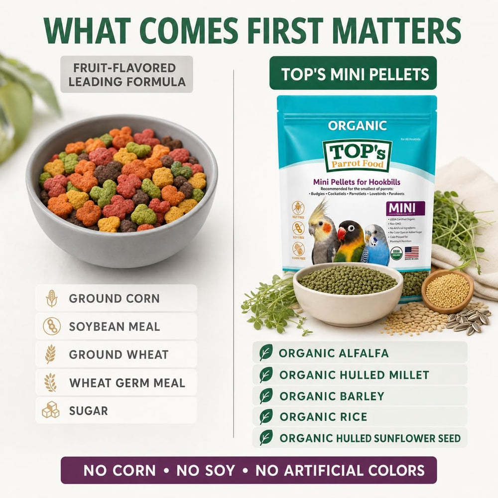 TOP's Parrot Food bol avec portion quotidienne prête pour une alimentation équilibrée